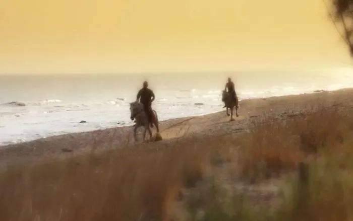 Отель Paradise Island 5*