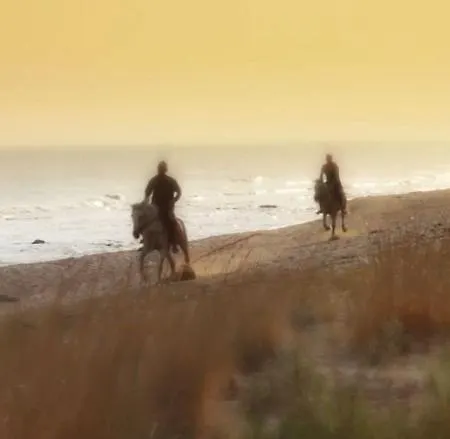 호텔 Paradise Island 5*